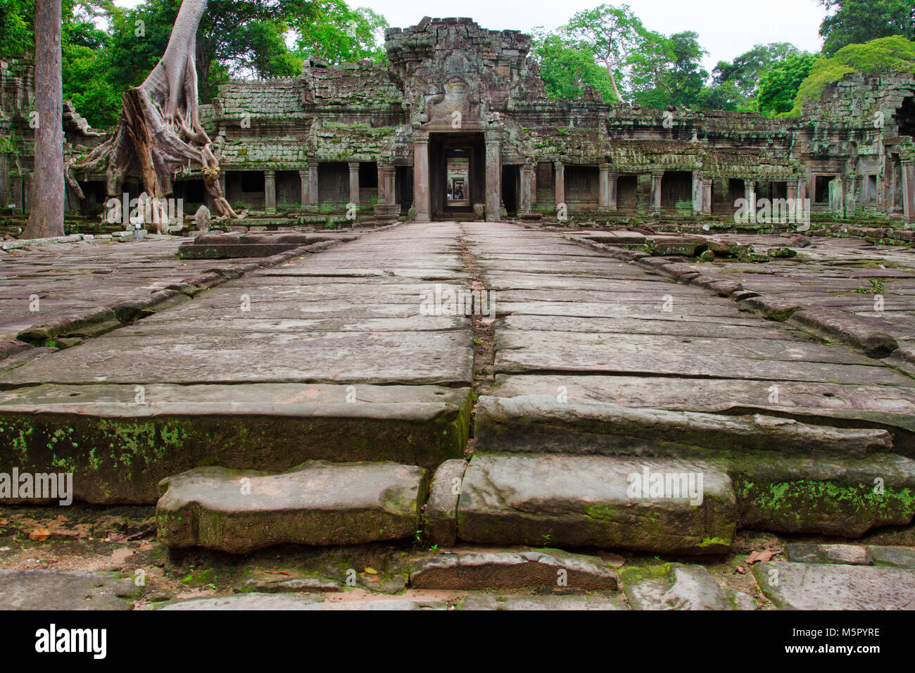 Angkor Wat, un site du patrimoine mondial de l'ONU au Cambodge. Rendu célèbre dans le film Lara Croft : Tomb Raider. Banque D'Images