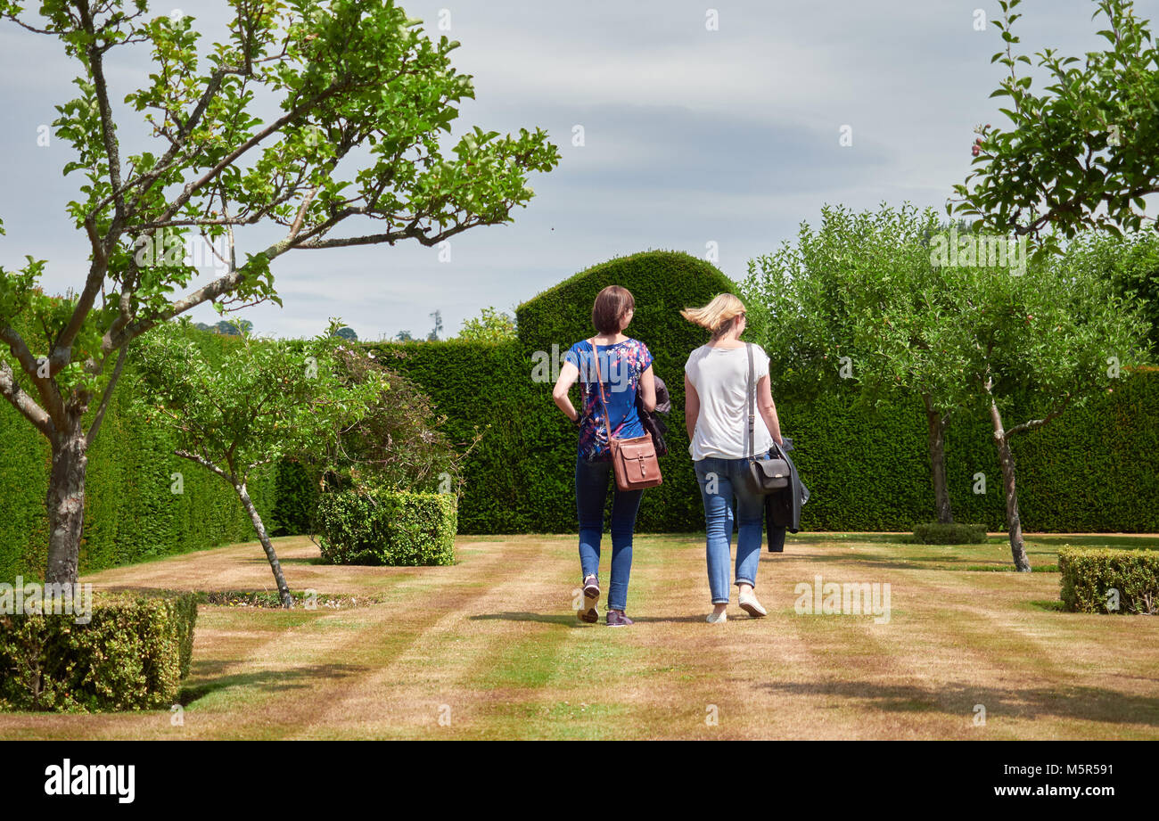 APPAREIL PHOTO NUMÉRIQUE OLYMPUS Banque D'Images