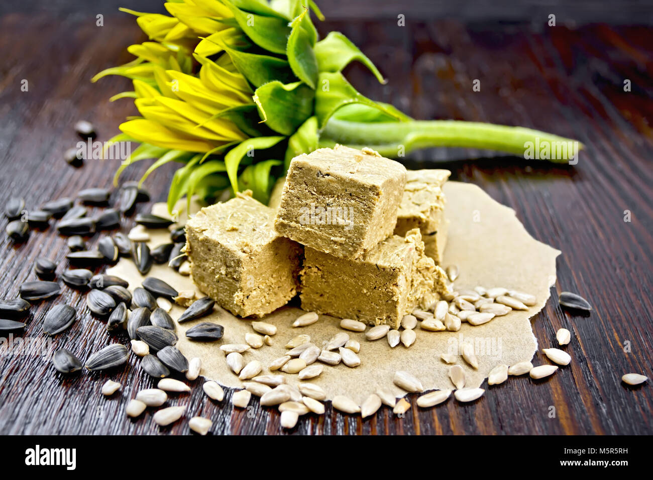 L'Est de l'halva doux sur papier de tournesol, les graines de tournesol et de fleurs sur fond de planche de bois foncé Banque D'Images