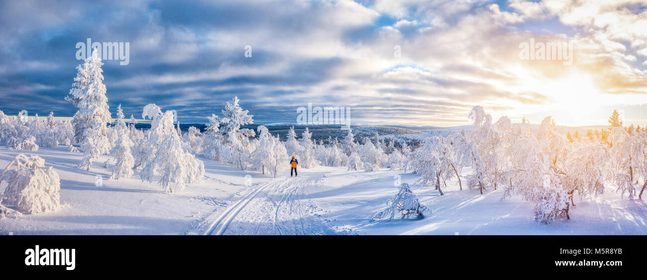 Vue panoramique de jeune homme le ski de fond sur une piste dans le magnifique décor hivernal féérique en Scandinavie avec lumière du soir au coucher du soleil Banque D'Images