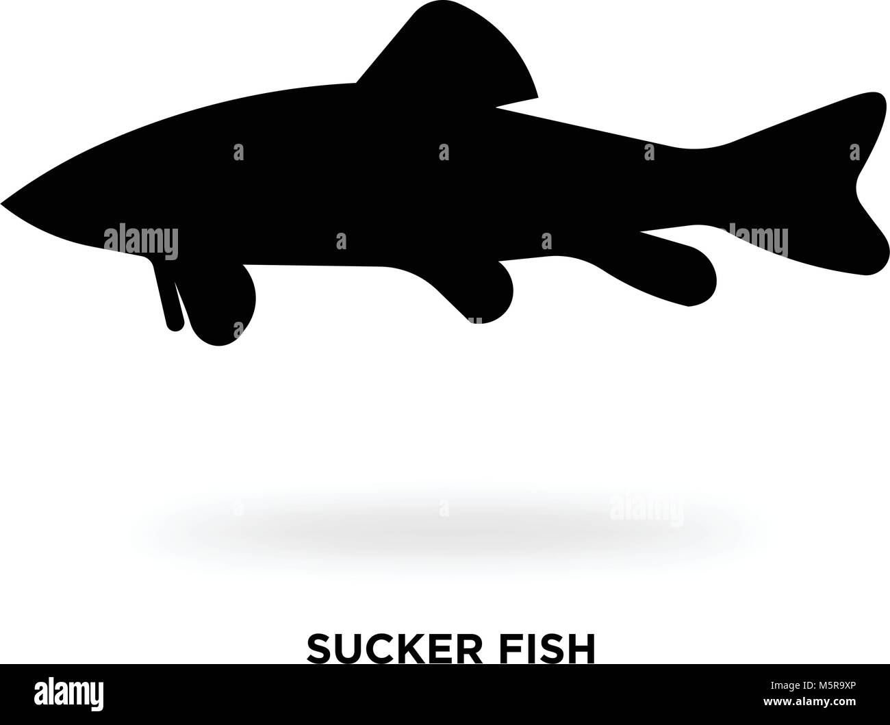 Sucker fish silhouette Illustration de Vecteur