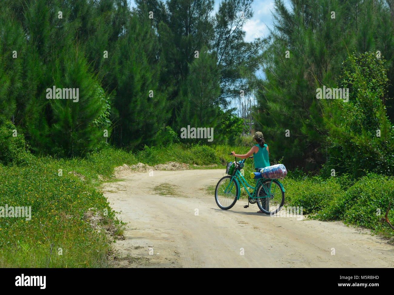 Aventure à vélo dans les bois Banque D'Images