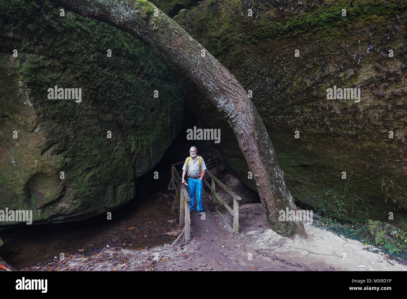 Un homme de la randonnée au Dismals Canyon dans le comté de Franklin, Tennessee. Banque D'Images