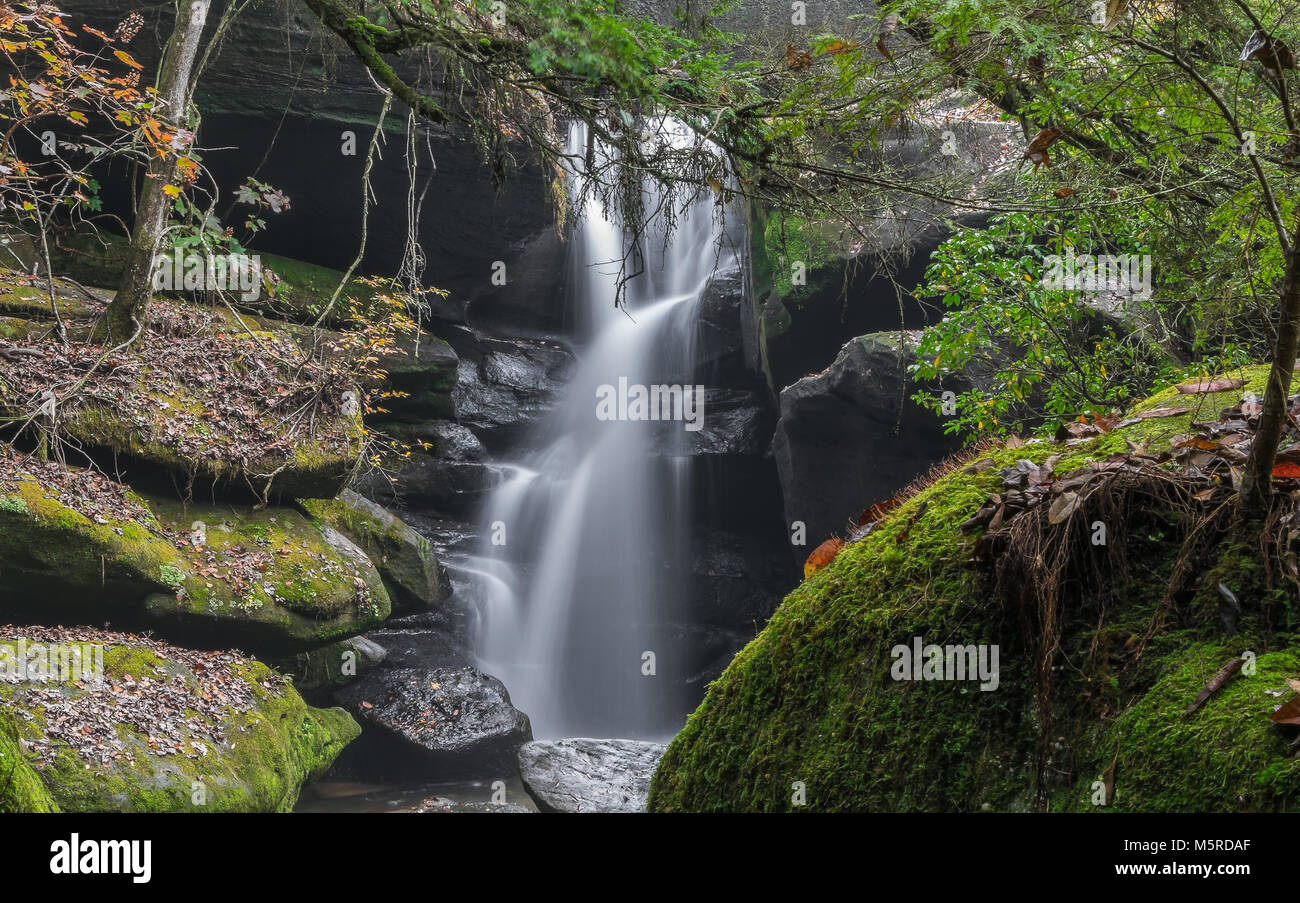 Cascades naturelles dans le comté de Franklin, Tennessee. Banque D'Images