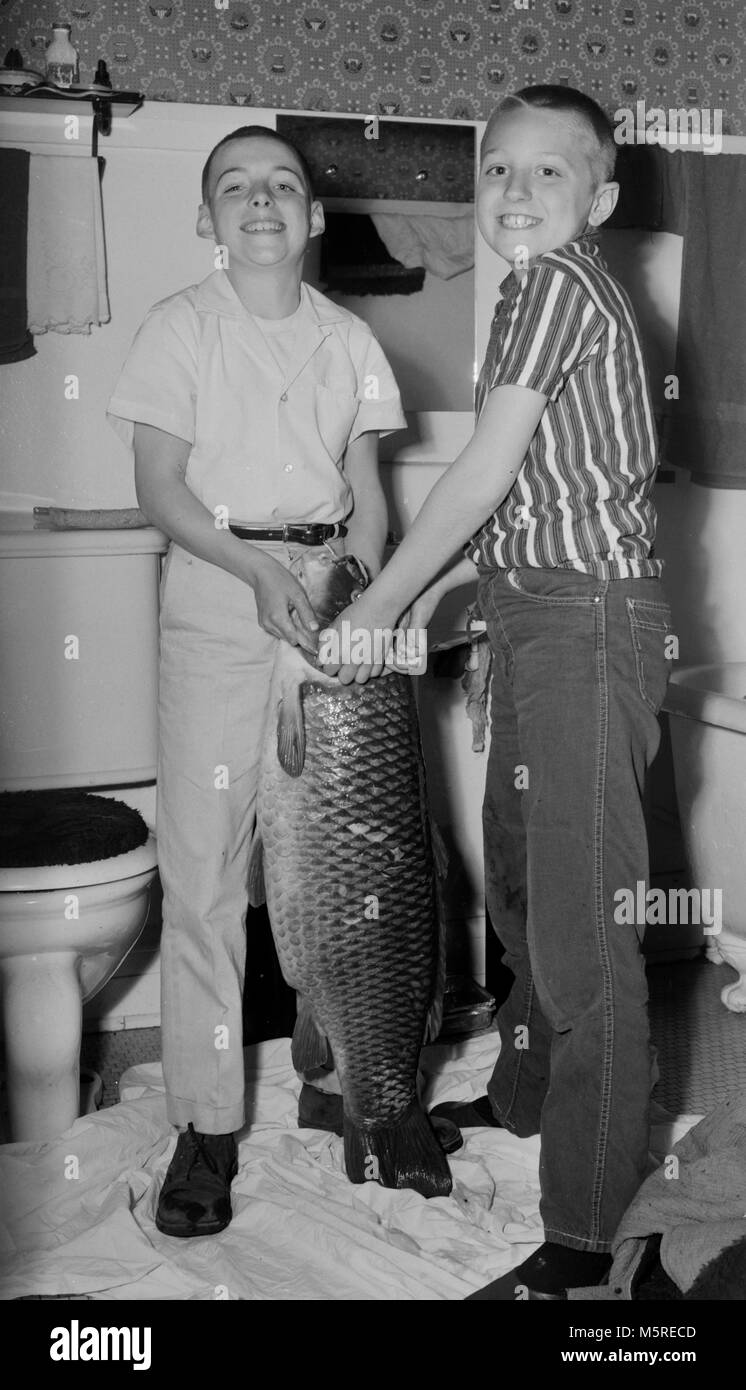 Deux garçons risque la colère de leur mère en maintenant une grande carpe dans la salle de bains familiale, ca. 1950. Banque D'Images