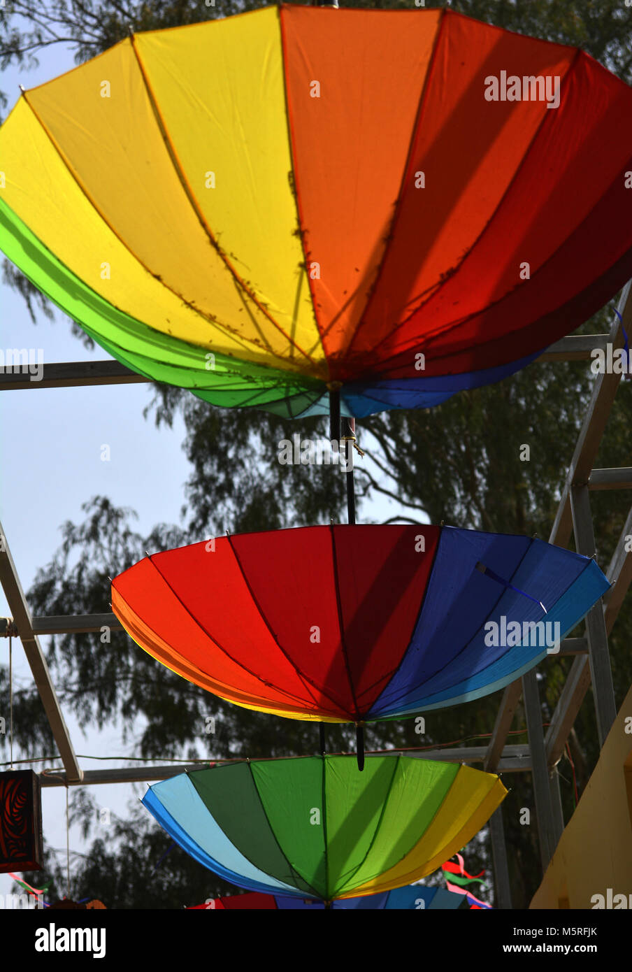 Parasols colorés Banque D'Images