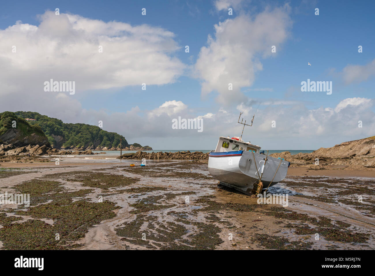 Un bateau de pêche à marée basse sur la plage, dans le port naturel baie abritée de Combe Martin, un village côtier sur la côte nord du Devon à environ 4 mile Banque D'Images