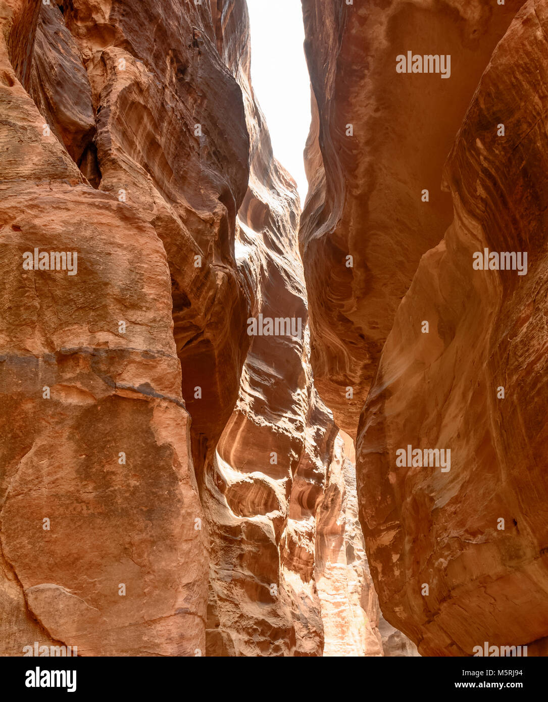 Les 1.2km de long chemin (SIQ) de la ville de Petra, Jordanie-- c'est un symbole de la Jordanie, ainsi que l'attraction touristique la plus visitée. Petra a été Banque D'Images