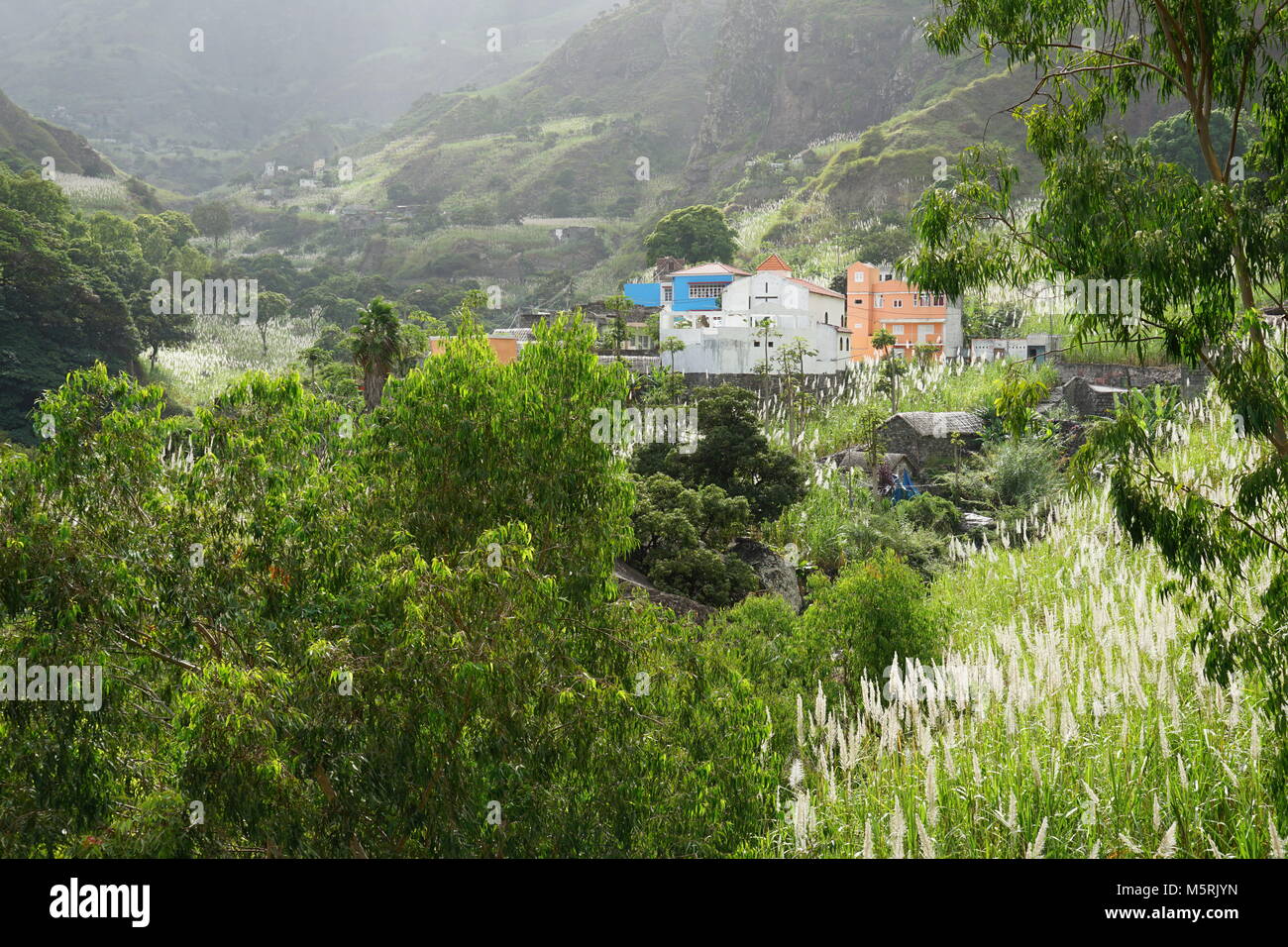 Fermes et des paysages de la vallée de Paul, Santo Antão, Cap Vert Banque D'Images