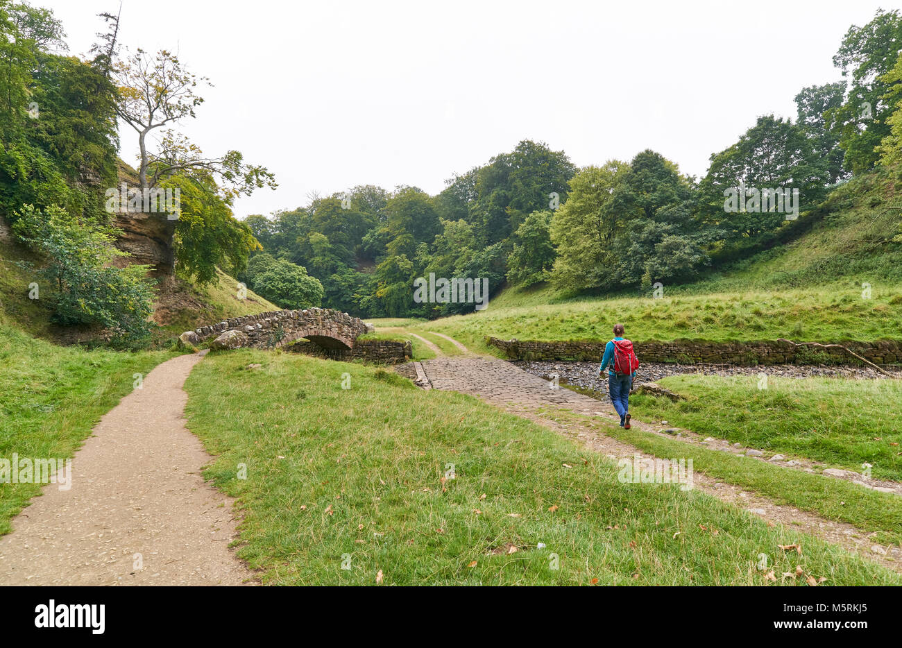 Un randonneur marchant dans la campagne anglaise sous un ciel couvert summers Day au Royaume-Uni. Banque D'Images