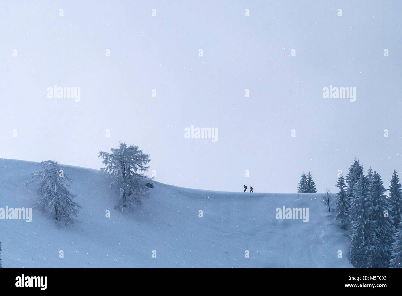 25 février 2018, l'Allemagne, l'Eck : cristaux de glace, neige et brouillard couvrir le paysage gelé et forêt de Bavière. Pendant ce temps, les gens apprécient le ski nautique. Photo : Lino Mirgeler/dpa Banque D'Images