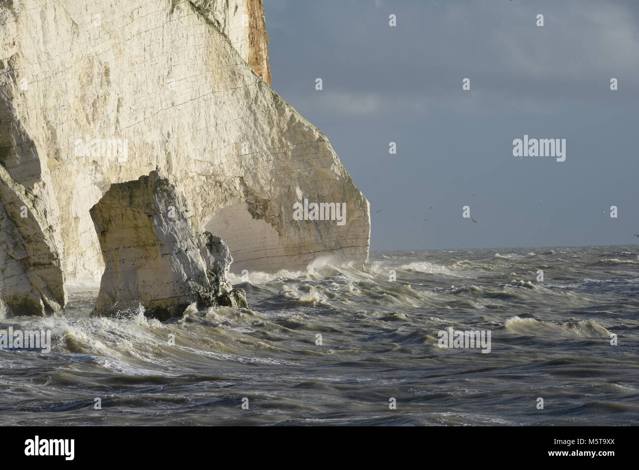 Les falaises de craie blanche à Seaford Head dans le Sussex UK sont battues par une tempête d'hiver. Les vagues sont malaisées et la marée est très élevé. Banque D'Images