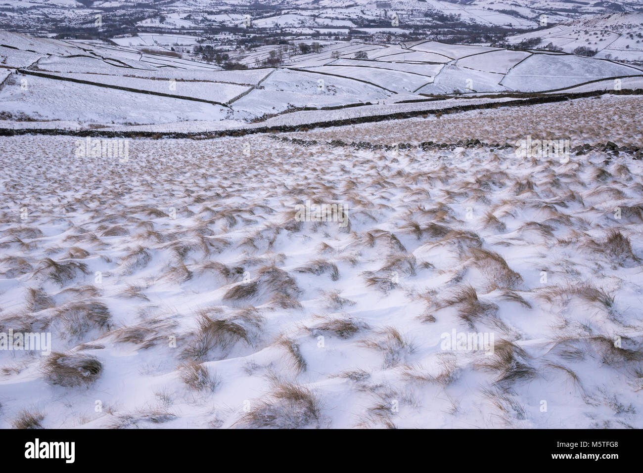 Matin d'hiver enneigé dans les collines du Peak District. Neige emportée sur buttes d'herbe des Landes. Banque D'Images