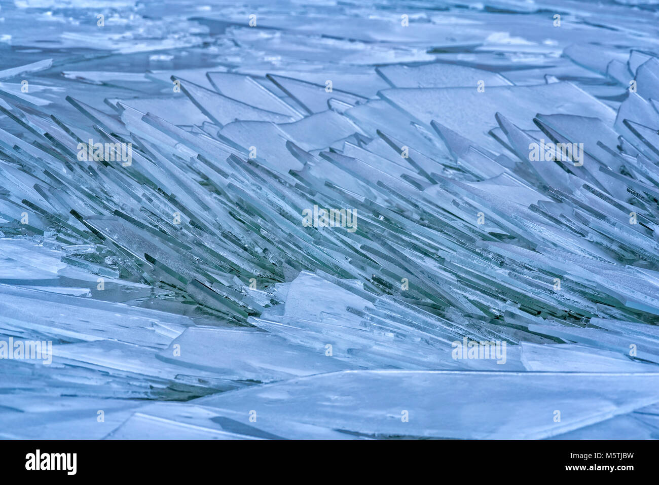 Blocs de glace sur le lac Balaton en Hongrie Banque D'Images
