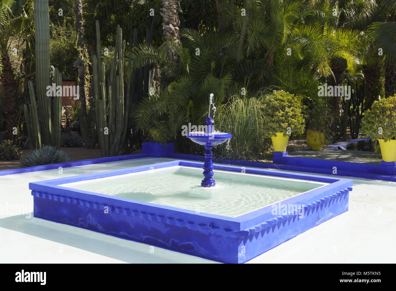 Jardins de Yves Saint-Laurent, Marrakech, Maroc. Banque D'Images