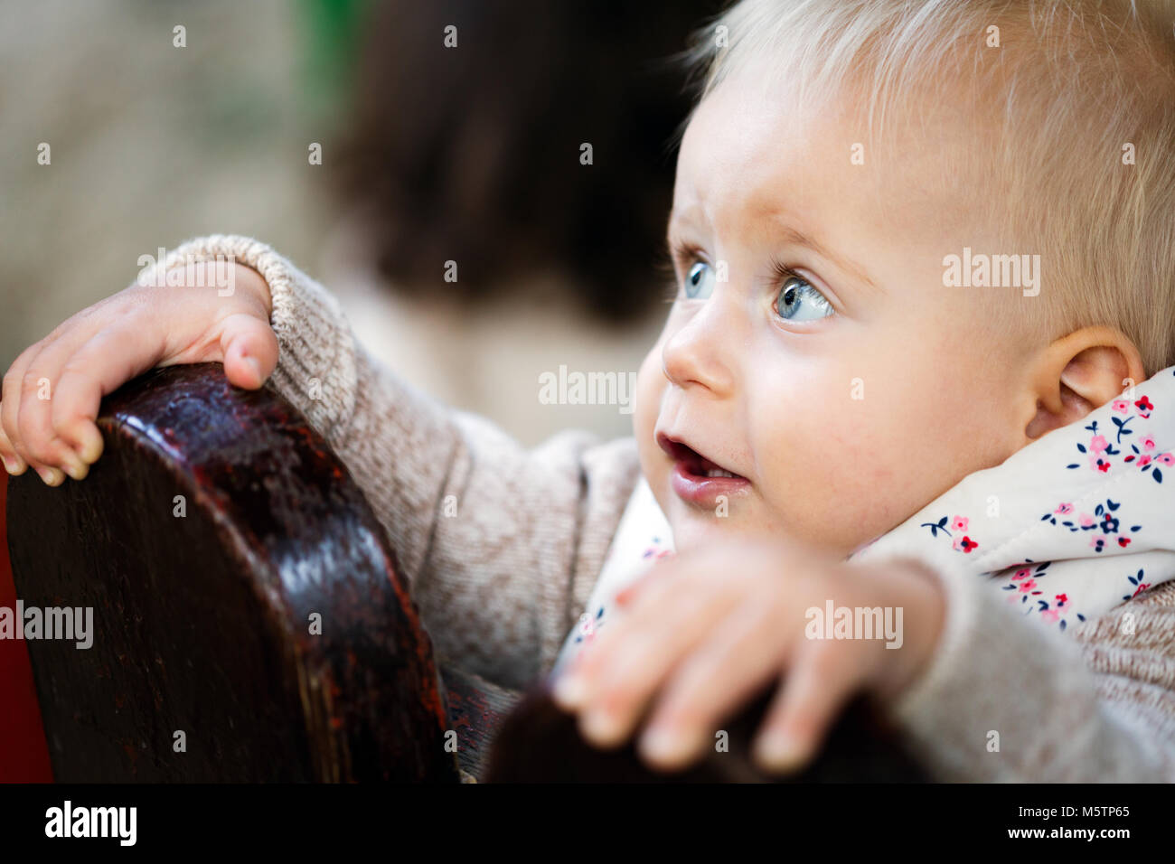 Belle enfant aux yeux bleus Banque D'Images