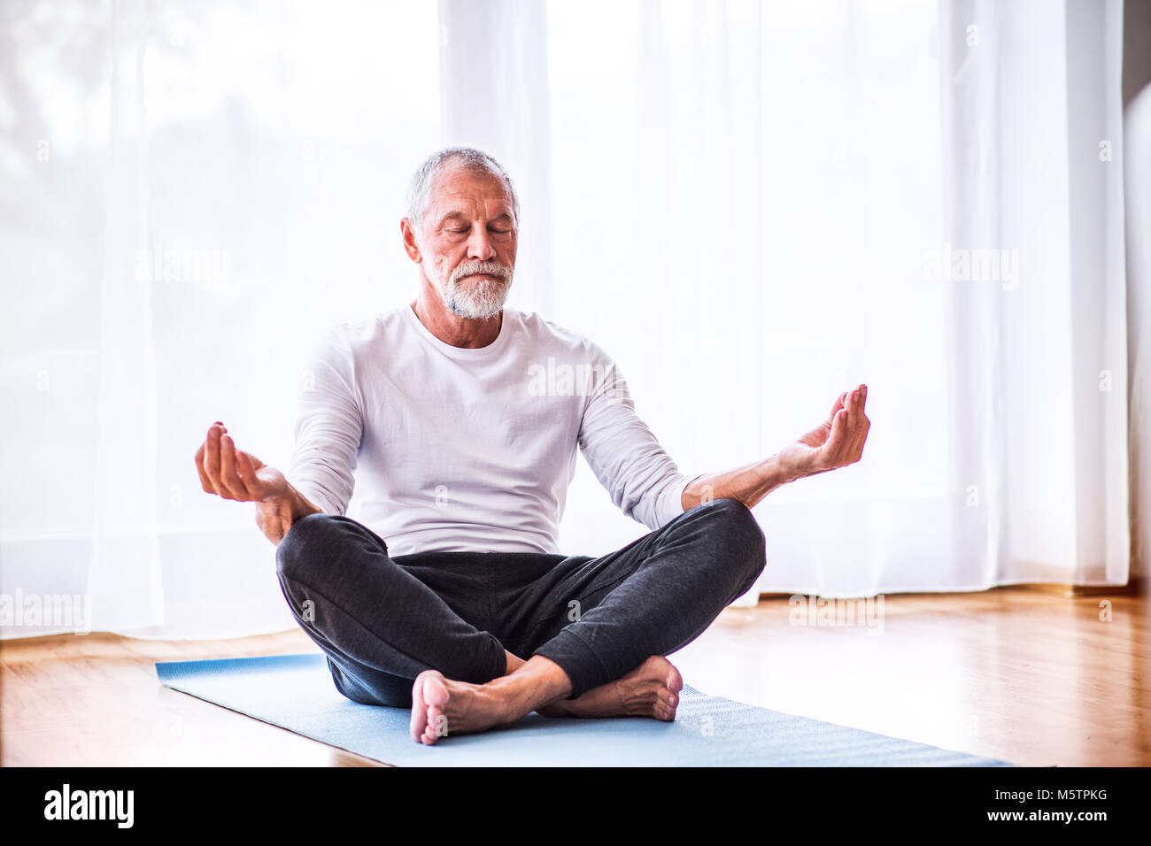 Senior man sitting at home. Banque D'Images