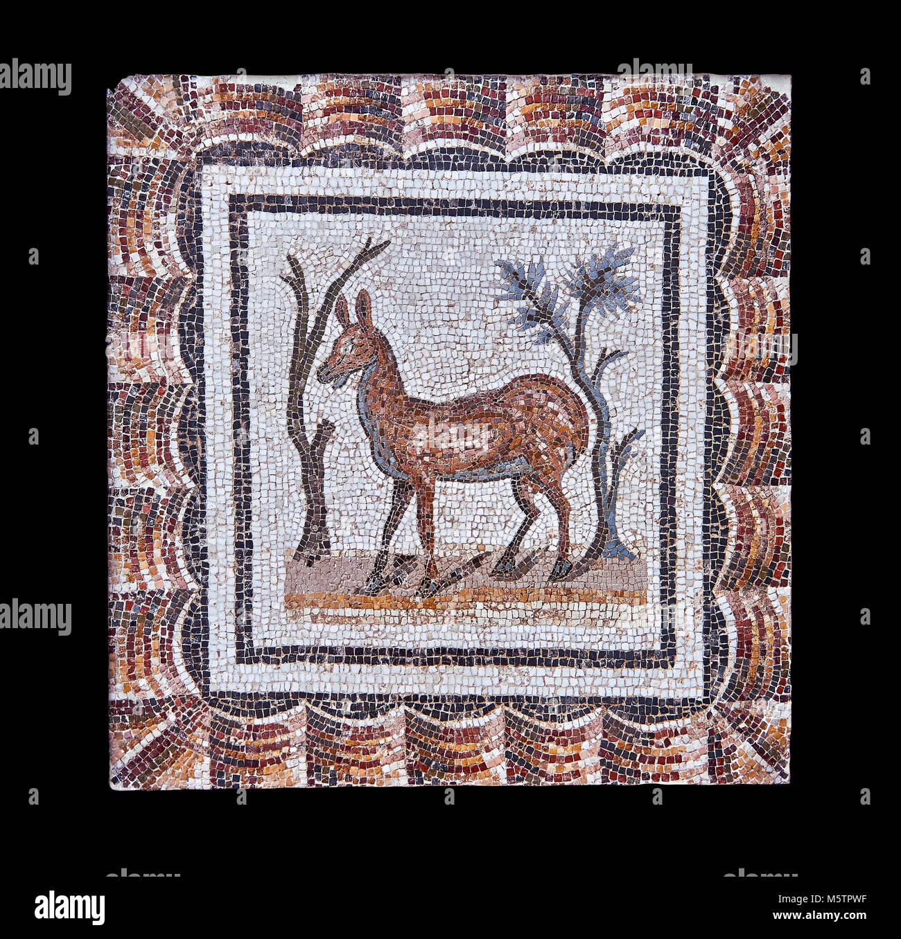 3e siècle mosaïque romaine l'inscription de deux cerfs entre deux arbustes. Thysdrus (El Jem), Tunisie. Le Musée du Bardo, Tunis, Tunisie. Fond noir Banque D'Images