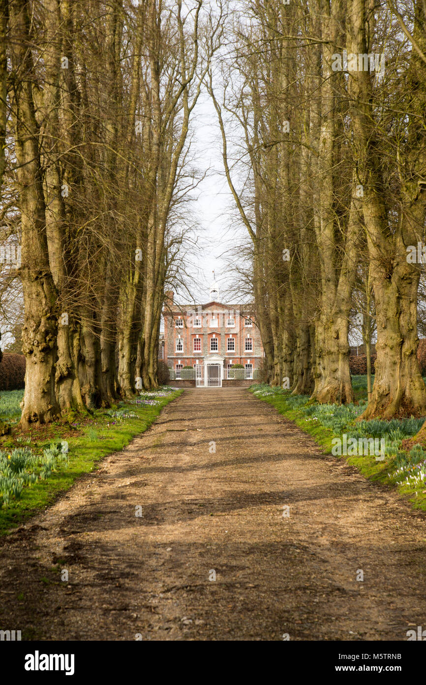 Ligne allée Avenue arbres menant à Oare maison construite 1740, OARE, Wilcot, Wiltshire, England, UK Banque D'Images