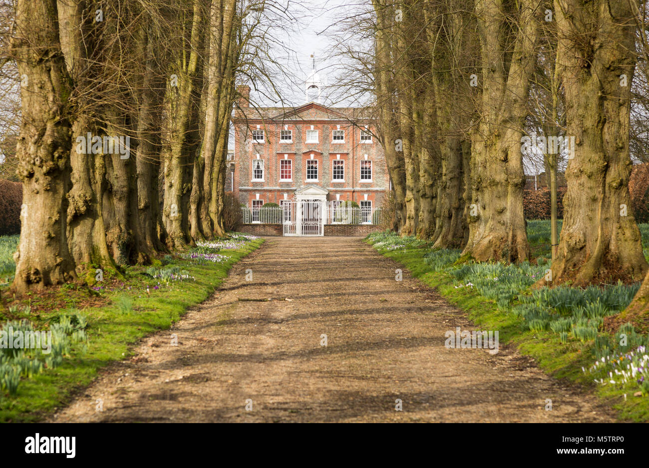 Ligne allée Avenue arbres menant à Oare maison construite 1740, OARE, Wilcot, Wiltshire, England, UK Banque D'Images