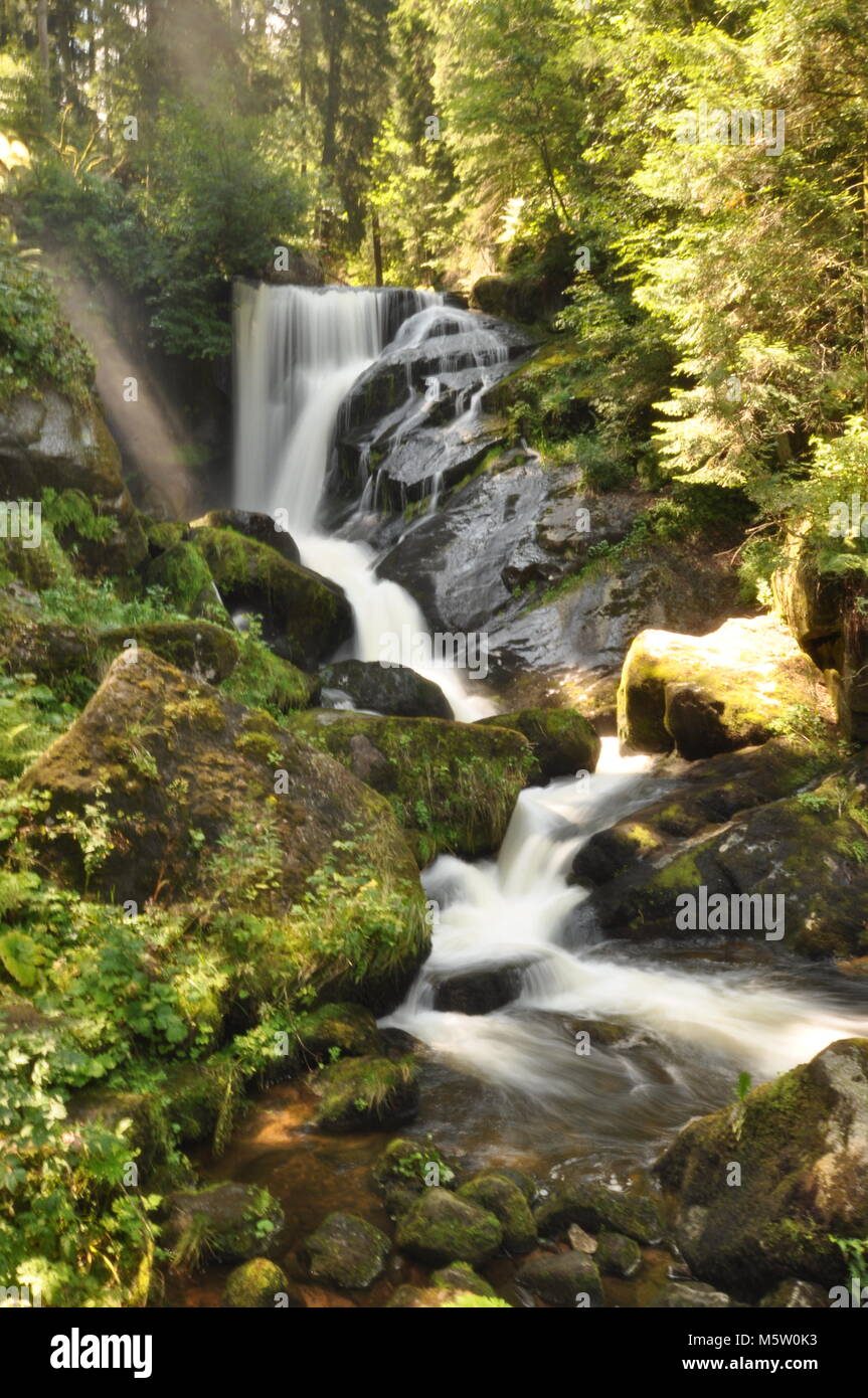 Cascade avec mousse et roche au premier plan, longue exposition et eau douce dans la forêt. Chutes d'eau de Triberg, Forêt Noire, Allemagne Banque D'Images