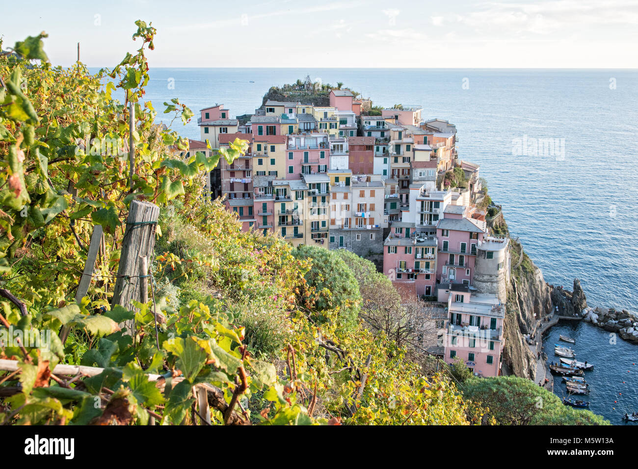 Vignes et village de Manarola dans le Parc National des Cinque Terre, ligurie, italie Banque D'Images