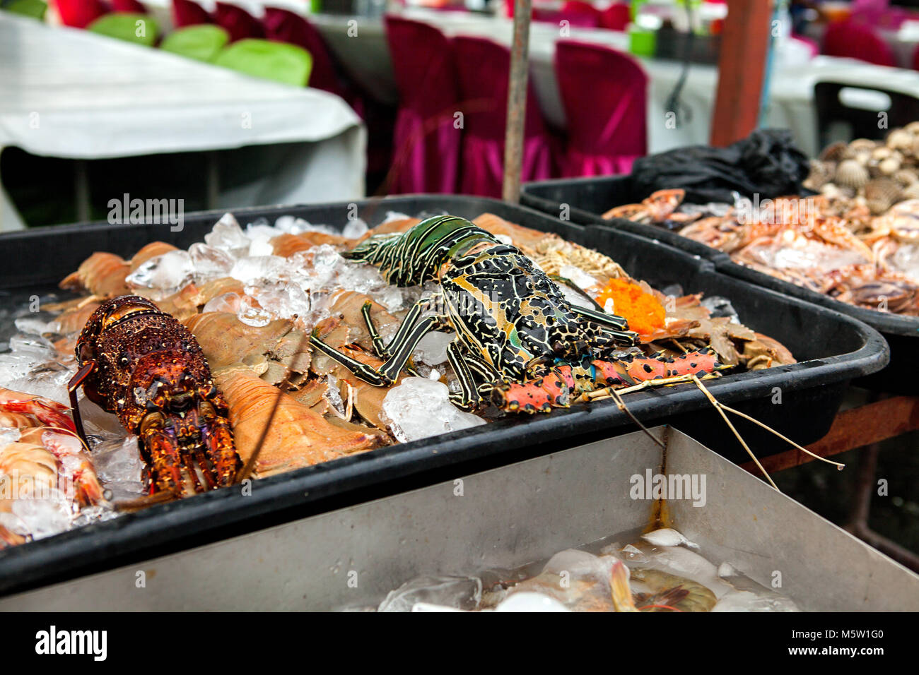 Les écrevisses fraîches sur le marché au poisson de Bornéo (Malaisie) Banque D'Images