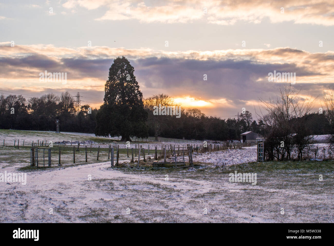 Neige en scène rurale Hertfordshire en Angleterre. Une partie de l'Bhaktivedanta Manor Parc. Banque D'Images