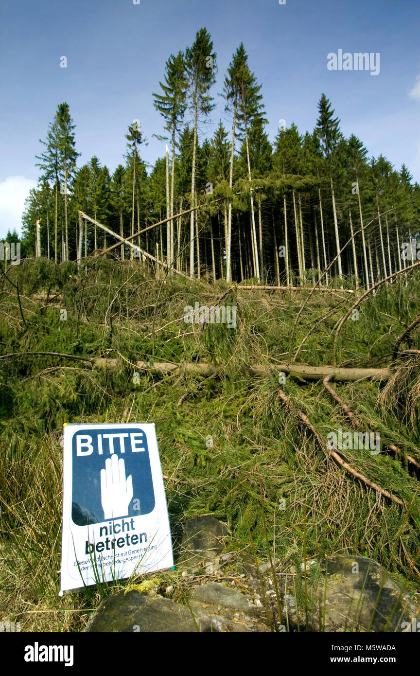 La tempête après la tempête Kyrill en 2007, Lüdenscheid, Rhénanie du Nord-Westphalie, Allemagne, Europe Banque D'Images