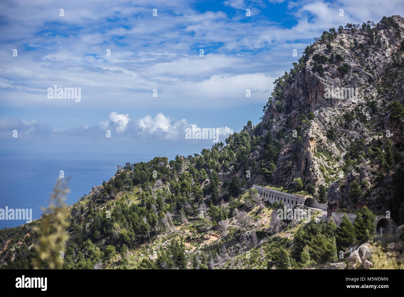 Natur entdecken auf Mallorca Banque D'Images