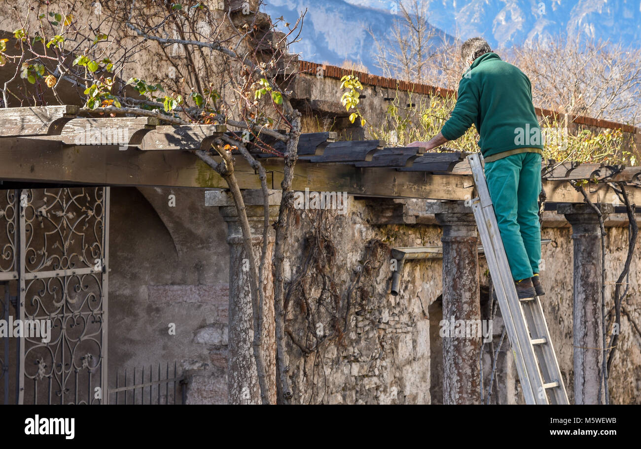 Jardinier professionnel prépare les plantes de printemps dans le jardin public. Banque D'Images