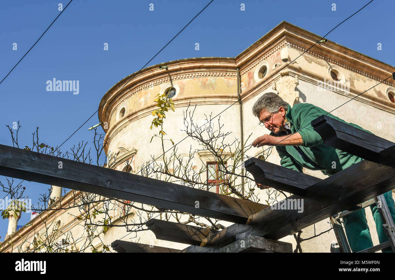 Jardinier professionnel prépare les plantes de printemps dans le jardin public. Banque D'Images