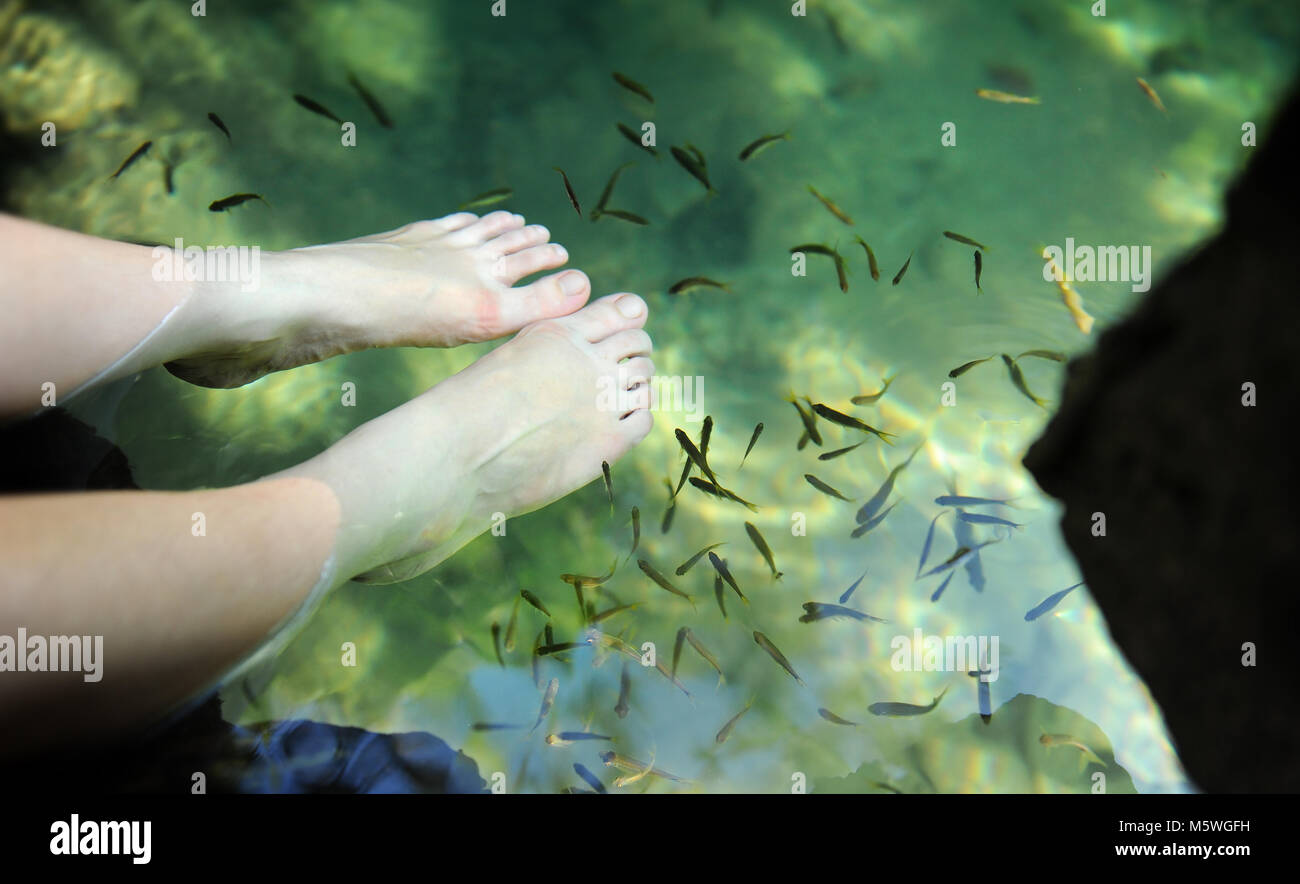 Poisson Nature spa est gratuit pour les voyageurs qui viennent à Krabi 2 couleurs canal Banque D'Images