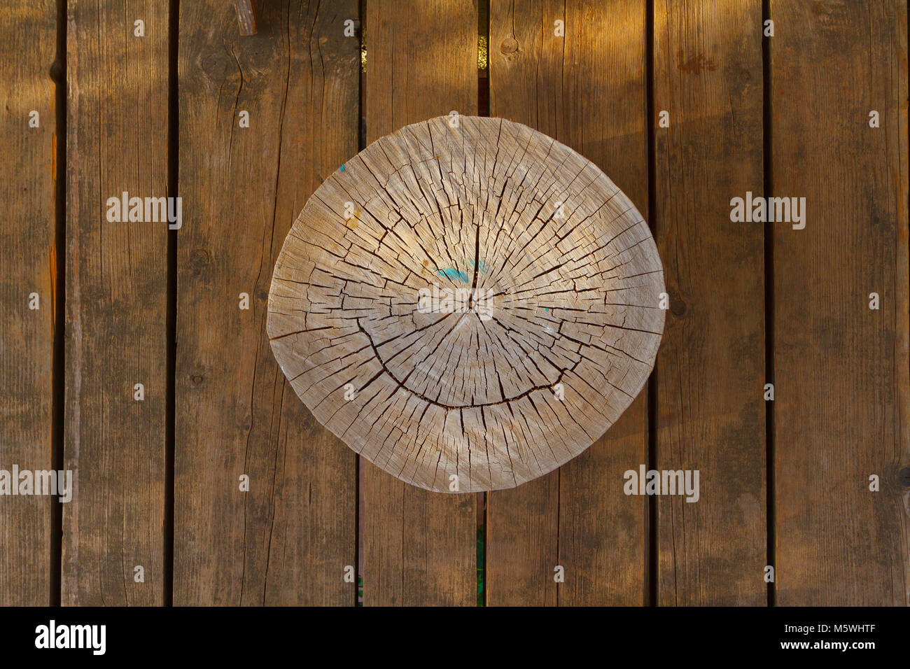 Logarithme naturel wood background Banque D'Images