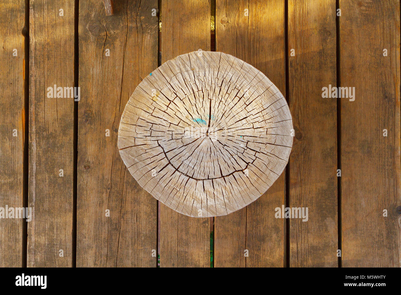 Logarithme naturel wood background Banque D'Images