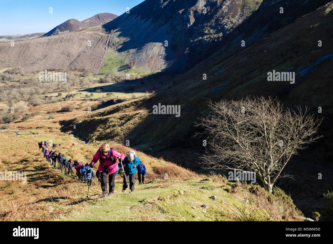 Groupe de randonneurs randonneurs randonnée jusqu'à la colline dans les hautes terres du nord du parc national de Snowdonia Abergwyngregyn ci-dessus, Gwynedd, Pays de Galles, Royaume-Uni, Angleterre Banque D'Images