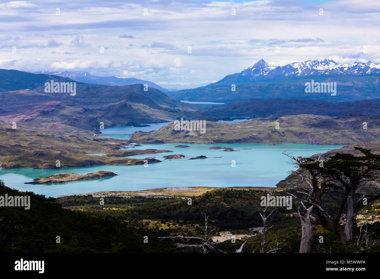 Cordillera Paine ; vue depuis près de Lago Skottsberg ; Parc National Torres del Paine, Chili Banque D'Images