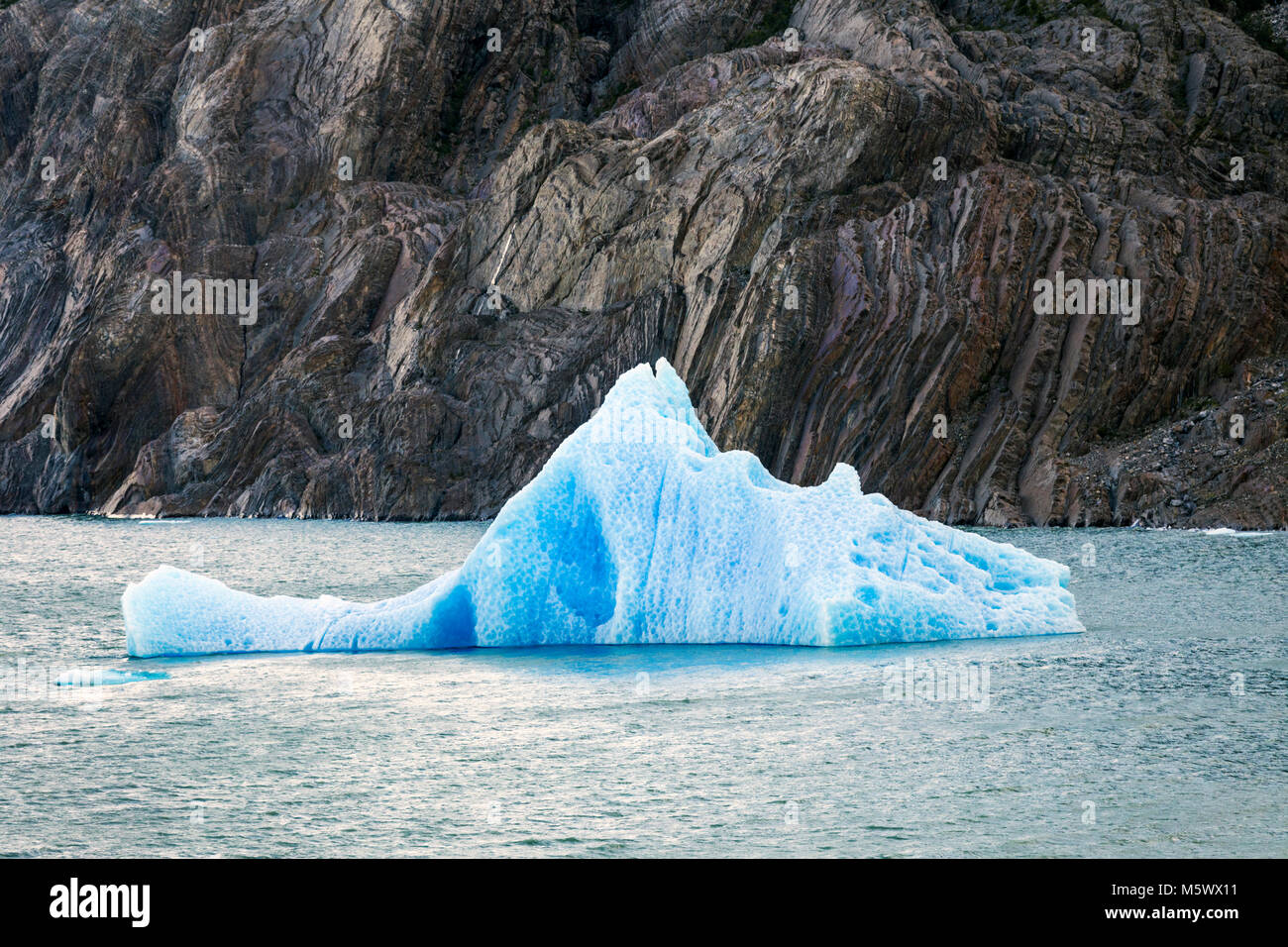 Iceburgs vêlé du Glaciar Gray flottent dans lac Grey ; Parc National Torres del Paine, Chili Banque D'Images