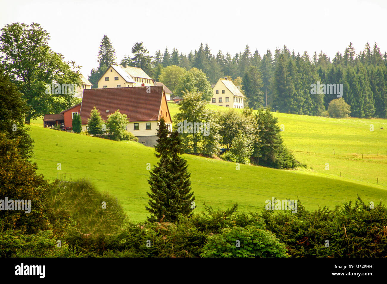 Paysage de forêt-noire, Schwarzwald, Allemagne Banque D'Images