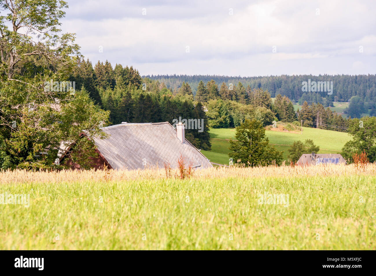 Paysage de forêt-noire, Schwarzwald, Allemagne Banque D'Images