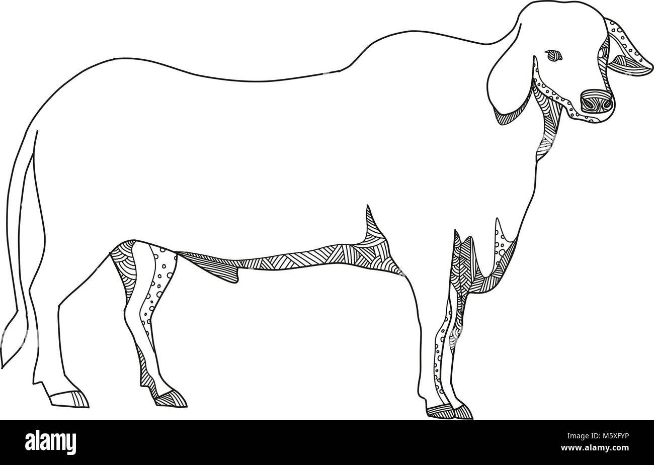 Doodle art illustration d'un brahmane ou Brahma bull, une race de zébu vu de côté en noir et blanc fait dans le style de mandala. Illustration de Vecteur