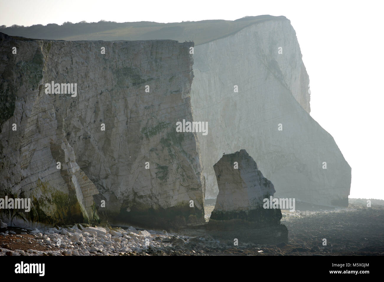 Falaises de craie à Seaford, ROYAUME UNI sur un sombre matin d'hiver Banque D'Images