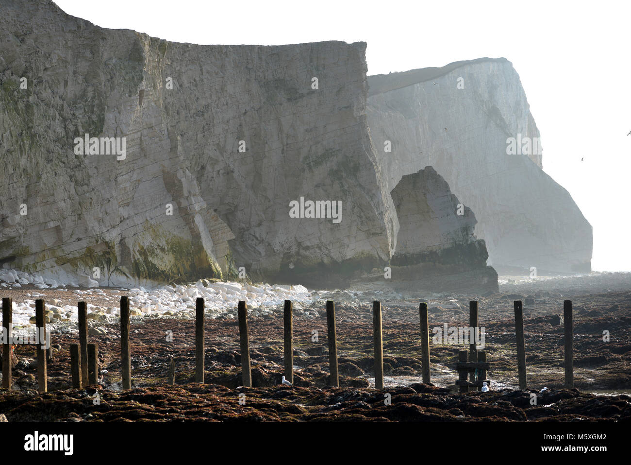 Falaises de craie à Seaford, ROYAUME UNI sur un sombre matin d'hiver Banque D'Images