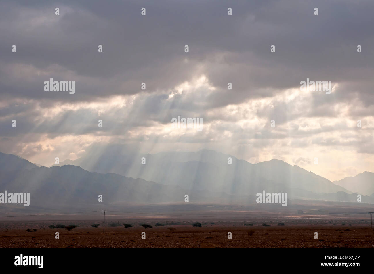 Tempête du désert - pluie d'hiver Banque D'Images