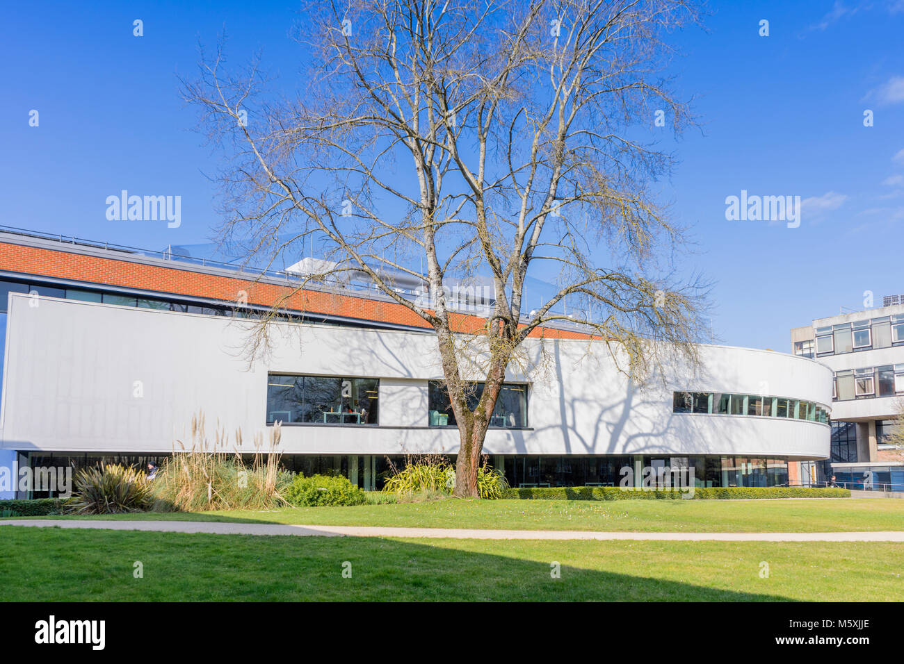 Arrière du bâtiment de la bibliothèque Hartley - une extension moderne - sur le campus de Highfield en février 2018, Université de Southampton, Angleterre, Royaume-Uni Banque D'Images