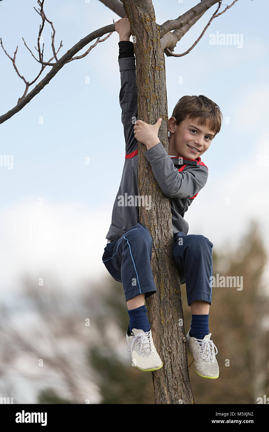 Garçon de 10 ans d'escalade sur un arbre à la caméra. Coup horizontal avec lumière naturelle Banque D'Images