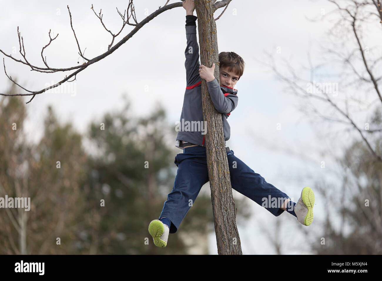 Garçon de 10 ans d'escalade sur un arbre à la caméra. Coup horizontal avec lumière naturelle Banque D'Images