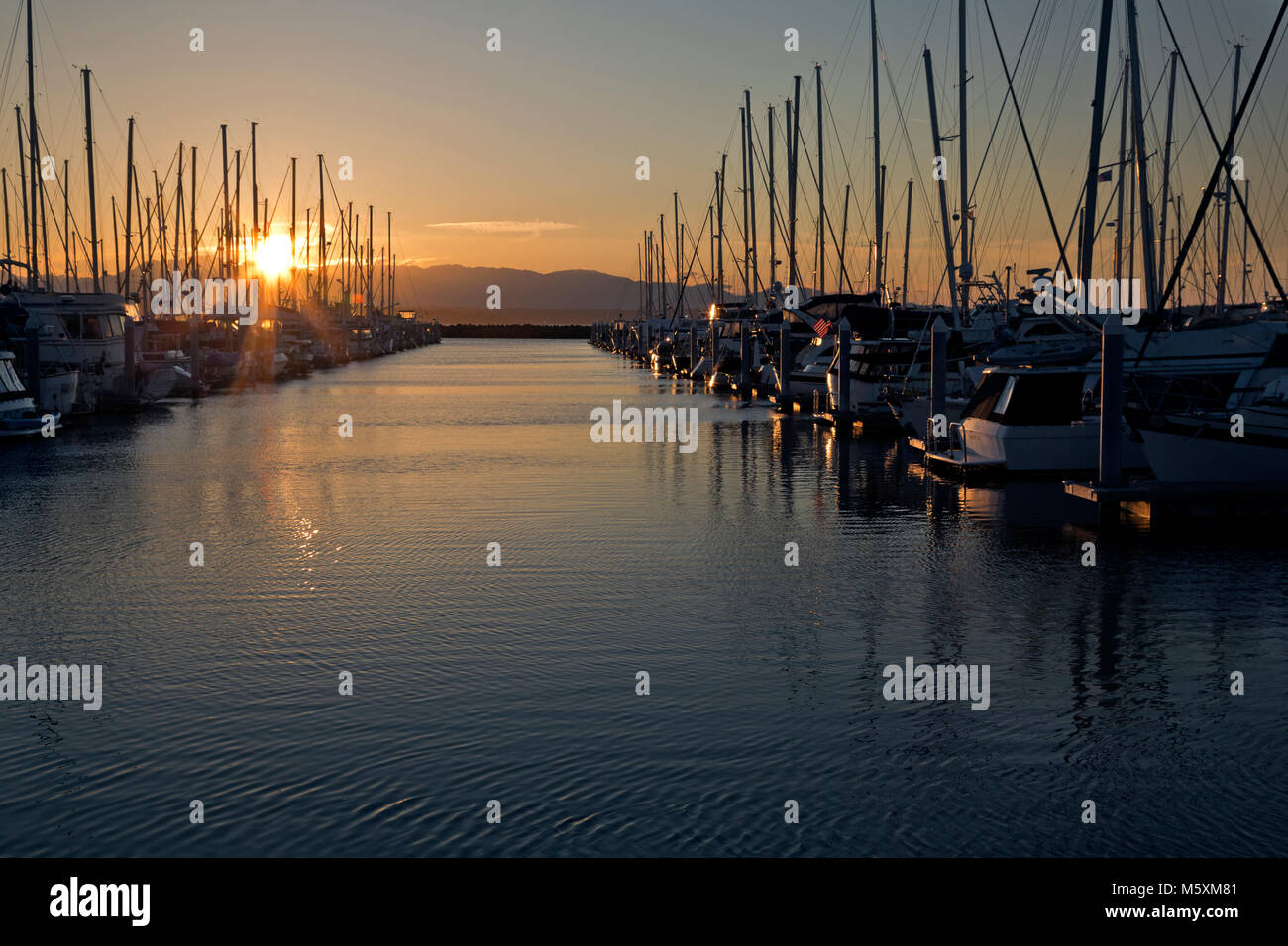 WASHINGTON - Une forêt de masques comme les couchers de soleil sur les montagnes olympiques comme les couchers de soleil sur Seattle's Shilshole Bay Marina. Banque D'Images