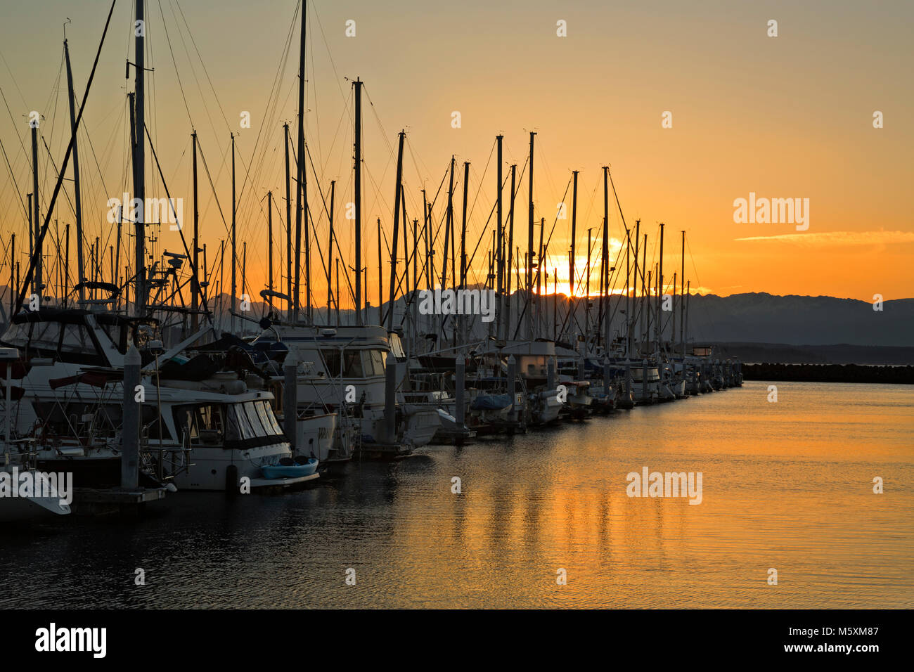 WASHINGTON - Une forêt de masques comme les couchers de soleil sur les montagnes olympiques comme les couchers de soleil sur Seattle's Shilshole Bay Marina. Banque D'Images