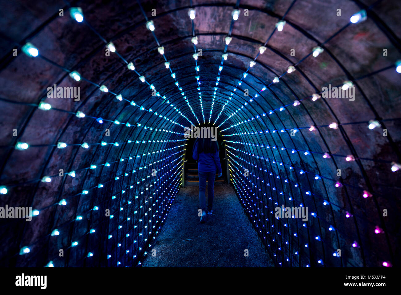 Tunnel de lumière à New Plymouth Park Banque D'Images